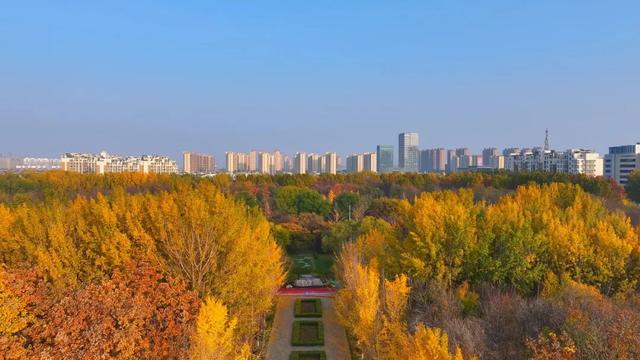 广饶初冬的仪式感来了！