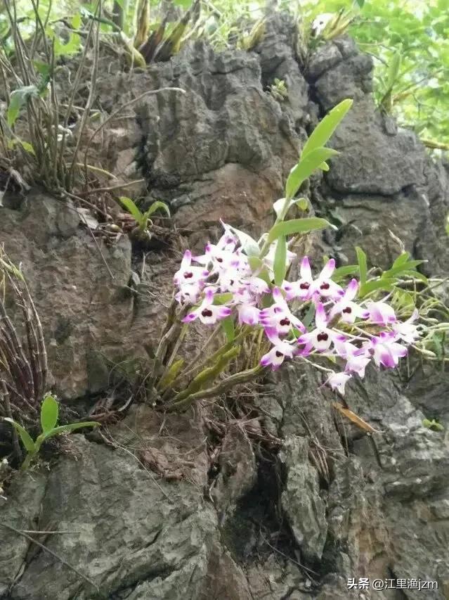 山水人间