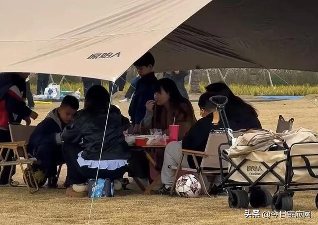 周末来运河津桥园,解锁亲子好时光~