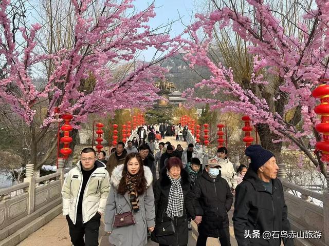 冬访赤山：当山海褪去色彩，风骨与暖意正当时