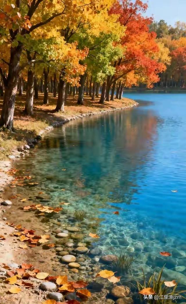 红叶漫山秋意浓