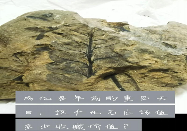 别只看风景！来这里，当一次“地球时光侦探”