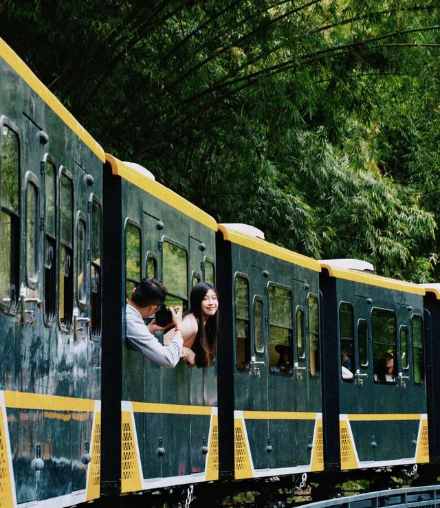 在竹尖上飞行！全网最全尖叫玩法攻略！