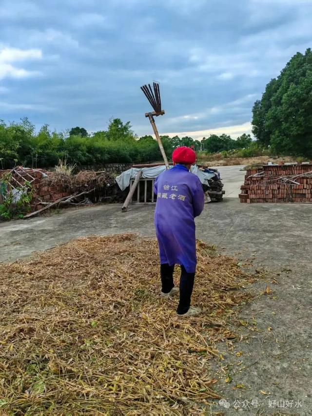 南昌之行 // 陈清东