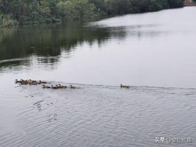 海陵岛上山水写实画一路相伴，双龙连续三年千里骑行22