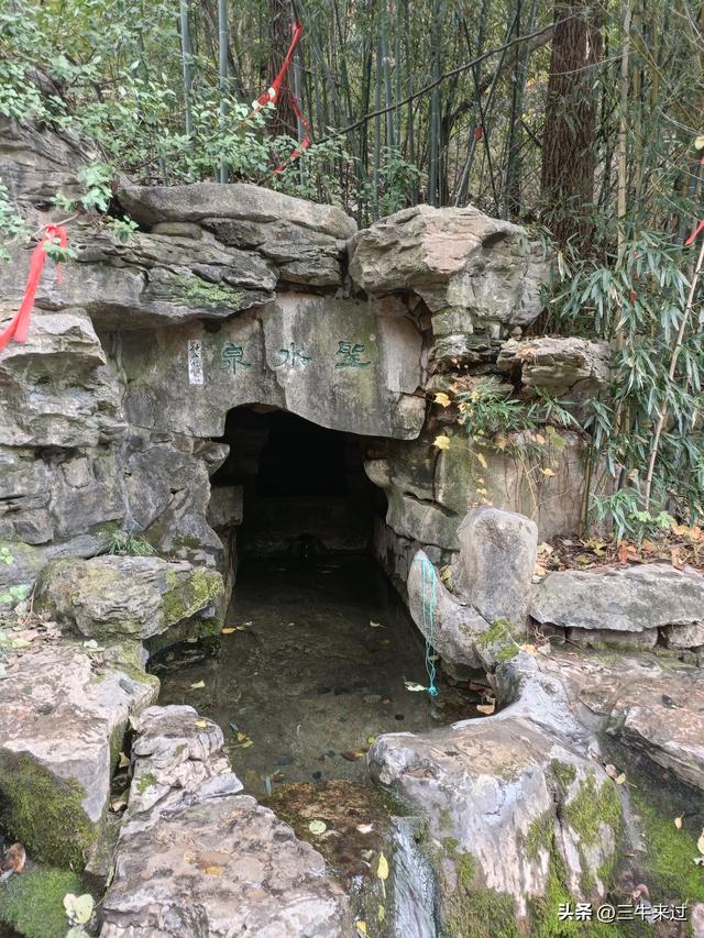 无为在歧路，济南红叶谷