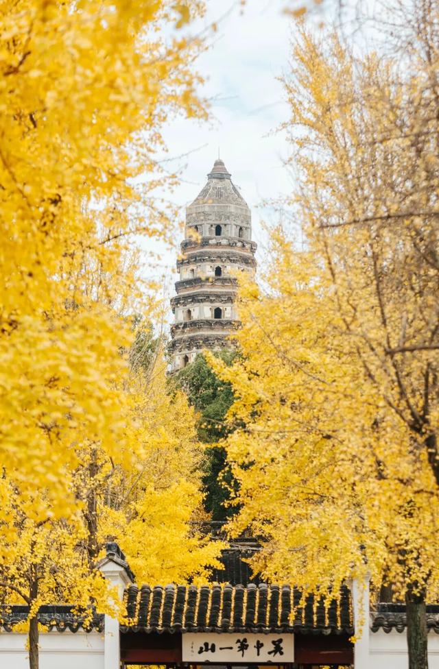枫叶不输北国，园林比故宫浪漫！这座城市私藏了江南的所有秋天