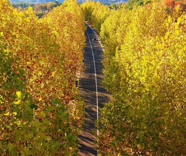 我拼了个“秋”！