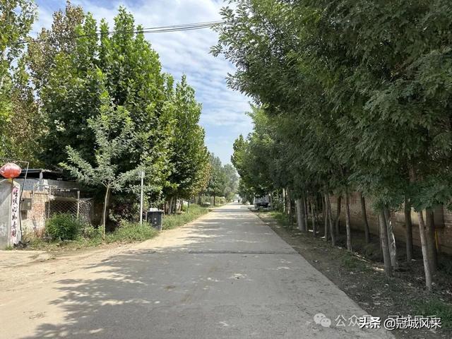冠县乡韵·定远寨镇前杏园村