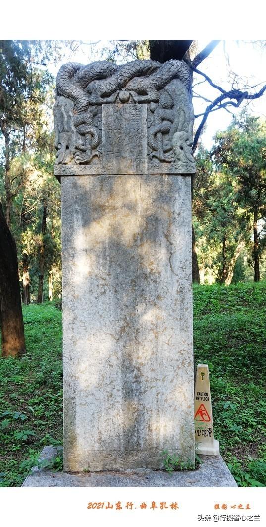 山东行游影记（226）—曲阜孔林（二）