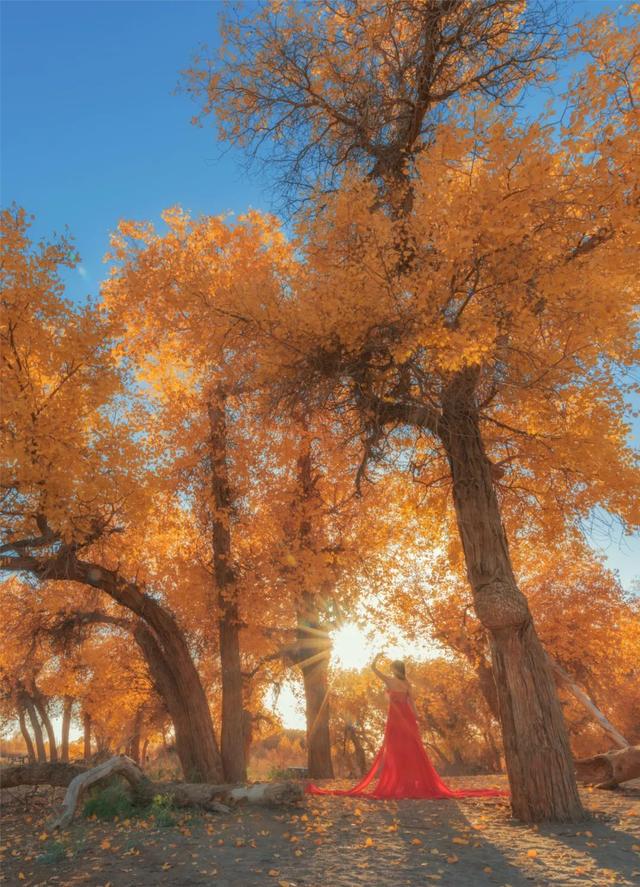 这9条路线美到封神！一路秋色如画，现在出发正好，沿途都是宝藏
