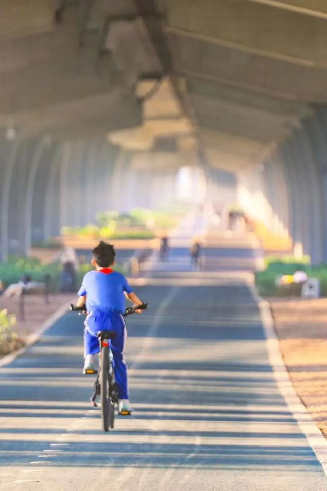 前海看海黄金季来啦，不出发真的会后悔！