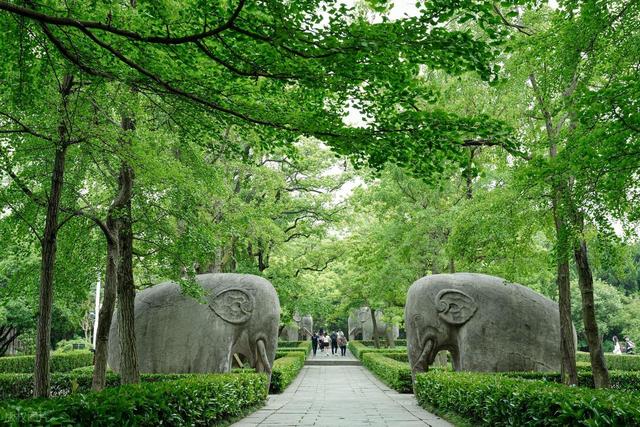 拯救高温周末！南京本地人私藏的6个清凉公园，免费又好玩，快冲