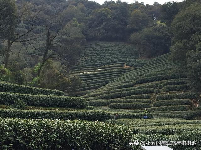 杭州人私藏的秋日秘境被曝光 泉水泡茶红叶铺道吃货来了就不想走
