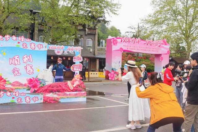 麻城杜鹃花海徒步大会启幕 预计4月下旬迎来盛花期