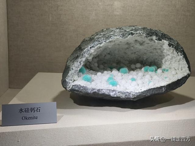 通化市自然博物馆