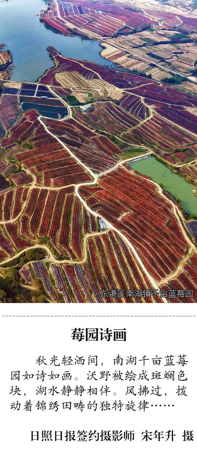 别错过！在日照这些地方收藏一整年的绚烂！