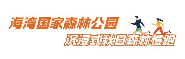 周五宠粉日|3条宝藏慢跑路线解锁秋日运动活力,文末还有海湾国家森林公园门票相赠!