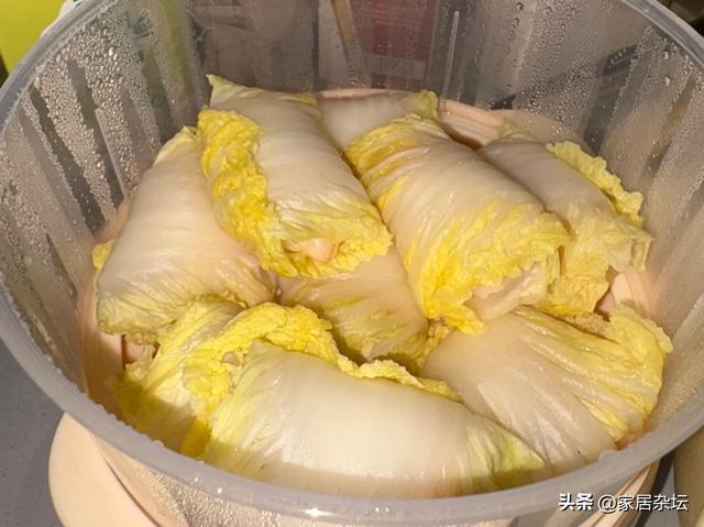 被“邪修的蒸蛋器用法”惊住了，思路打开以后，根本就停不下来