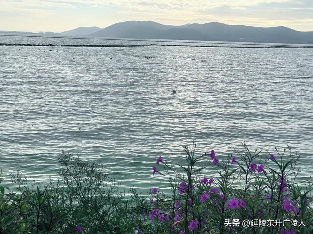 国庆假期来太湖边大有秋 远山近水丰收景 竺山书院福寿寺 蒋捷古墓