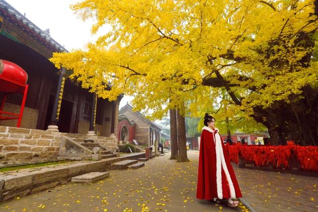 壮观！震撼！很多人都去看了！就在日照这里！