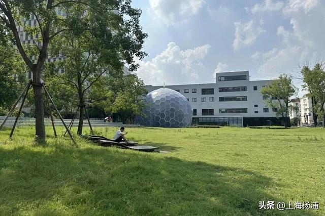 来杨浦“轧马路”！这条Citywalk路线藏不住了