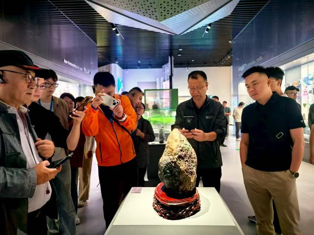 全国广电融媒体走进新疆地质矿产博物馆 感受大美新疆的地下宝藏