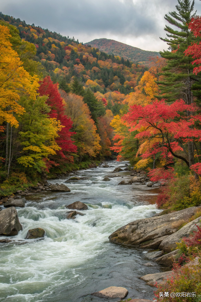 这才叫风景如画，太美了！