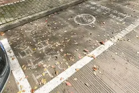 扣钱没商量？只停了几分钟就被收费！上海市民建言“智慧停车”：服务能否更人性？图片