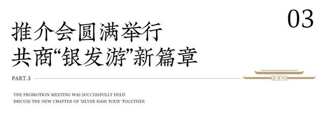 大连旅游界同行集结！赴台儿庄古城考察，共拓“银发游”新市场