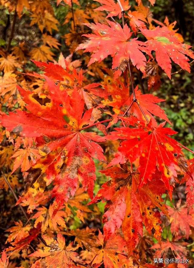 2025辽宁赏秋之旅日记(3)——游览洋湖沟和老边沟