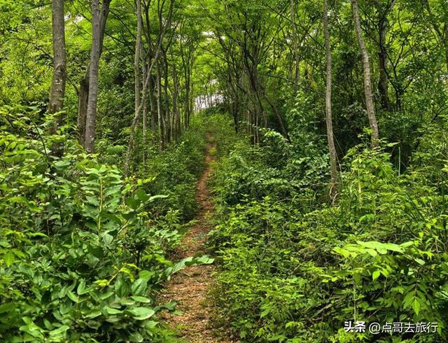 成都爬山徒步线路，全部免费，魅力不可挡，尽享山野宁静与清幽！