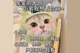 适合情侣之间用的表情包图片