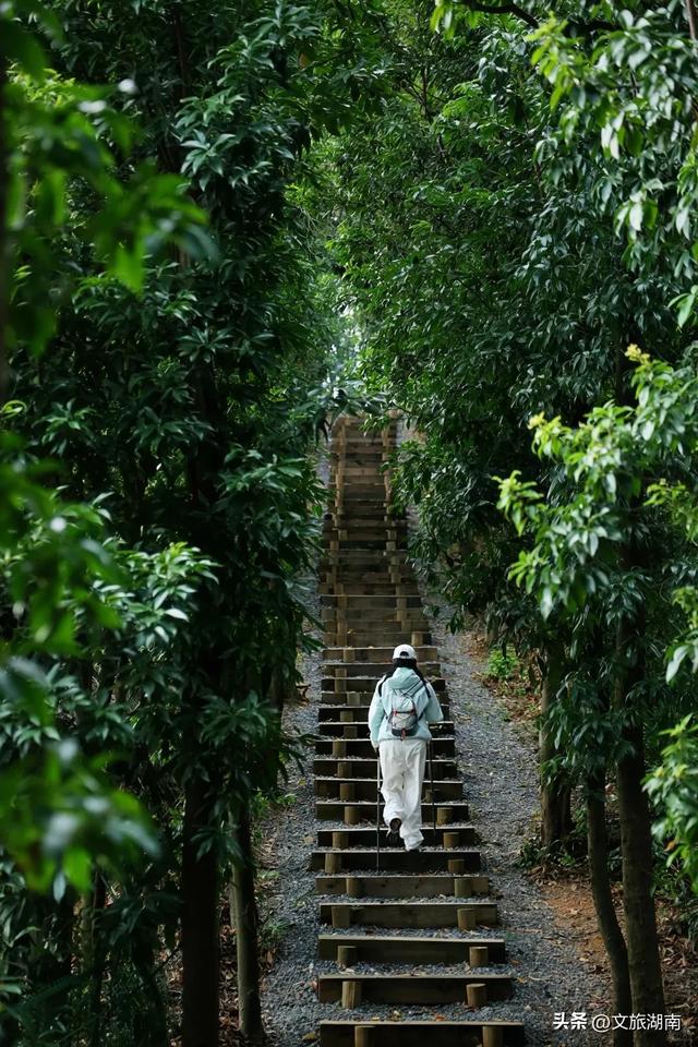 全部免费！解锁长沙10条山林徒步路线