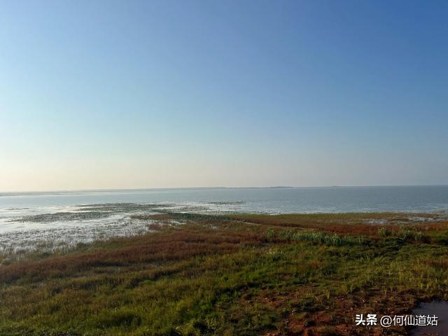 吴城狮子山观鸟