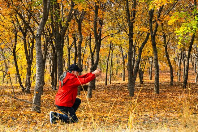泗水县万紫千红旅游区：静谧而斑斓的生态画卷