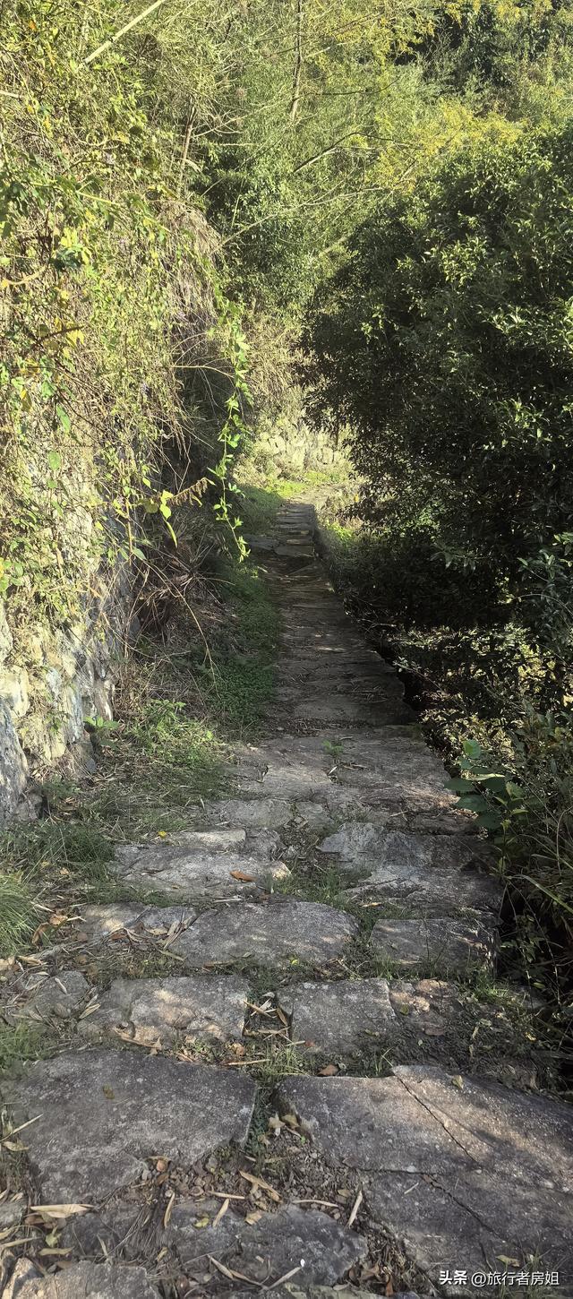 徒步奉化大雷山，古村、古道、梯田、秋景全部包揽