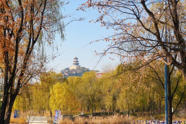 从群明湖畔到永定河集,冬日石景山的慢享闲游——