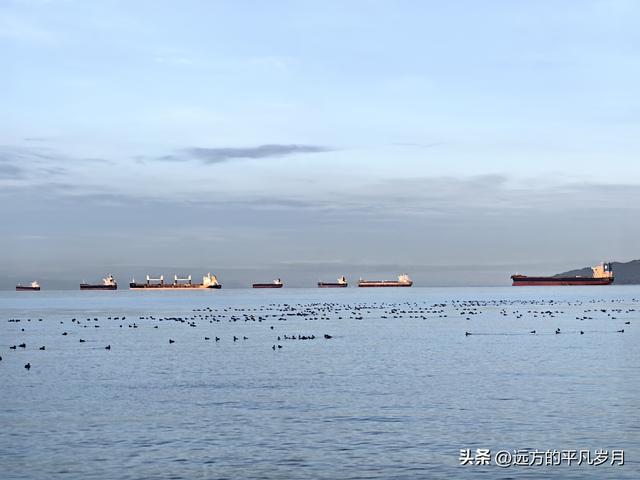 温哥华游记（四）