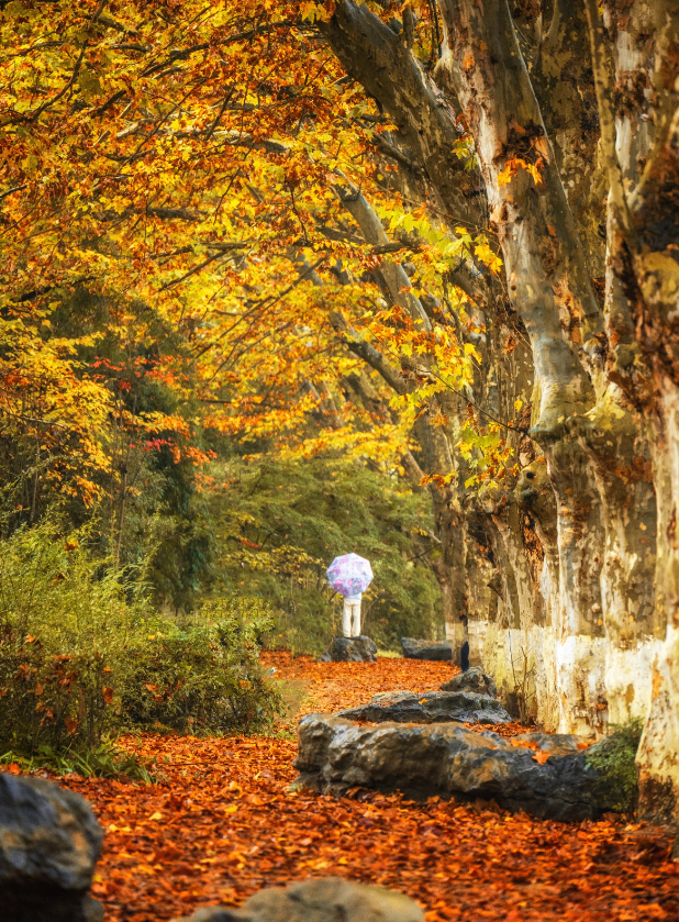 跟着《一路繁花2》打卡花溪~复刻姐姐们同款秋冬美景！