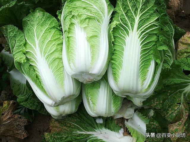 明日冬至	，不管贫富，记住“吃2肉	、食2蔬”，好处多多