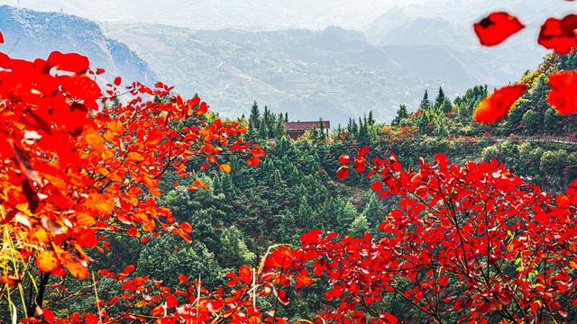 一江碧水，两岸红叶，静看三峡绚丽之秋