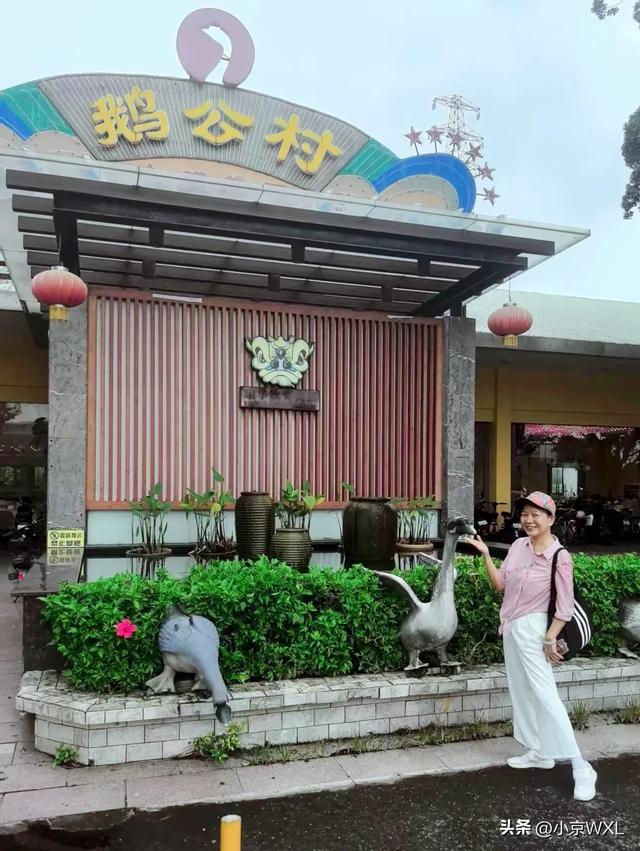 官洲生物岛鹅公村的早茶