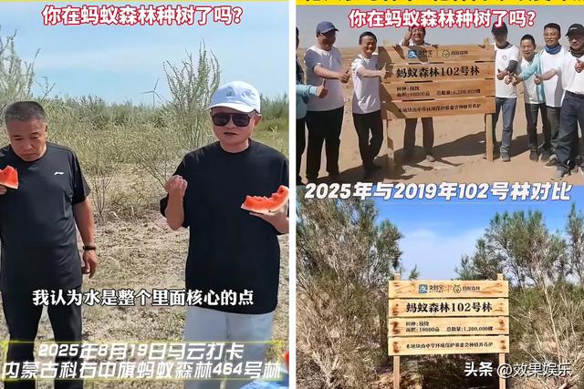 我天，以为蚂蚁森林都是过去式了，没想到马云还在坚持，牛逼。