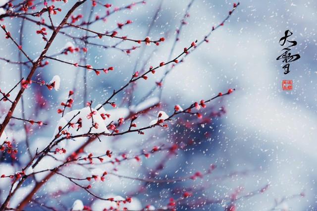“春节冷不冷	，就看大雪”，明日大雪，2026年春节特别冷吗？