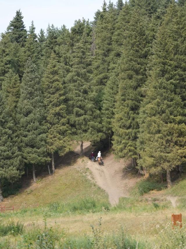 乌鲁木齐的关键词，少不了美食、艺术和山野