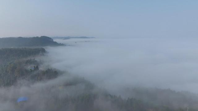 晨雾漫卷凌云山 “醉美”仙境入画来