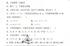八年级下册数学，期中考试【核心考点】攻克高频考题、易错题专练图片