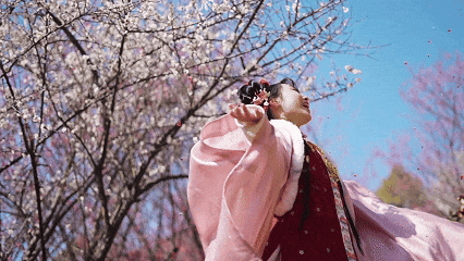 定了！木兰花谷1月17日起全城免费送票啦~