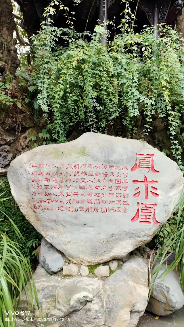 陆游的心路:从沈园到罨画池再到文君井